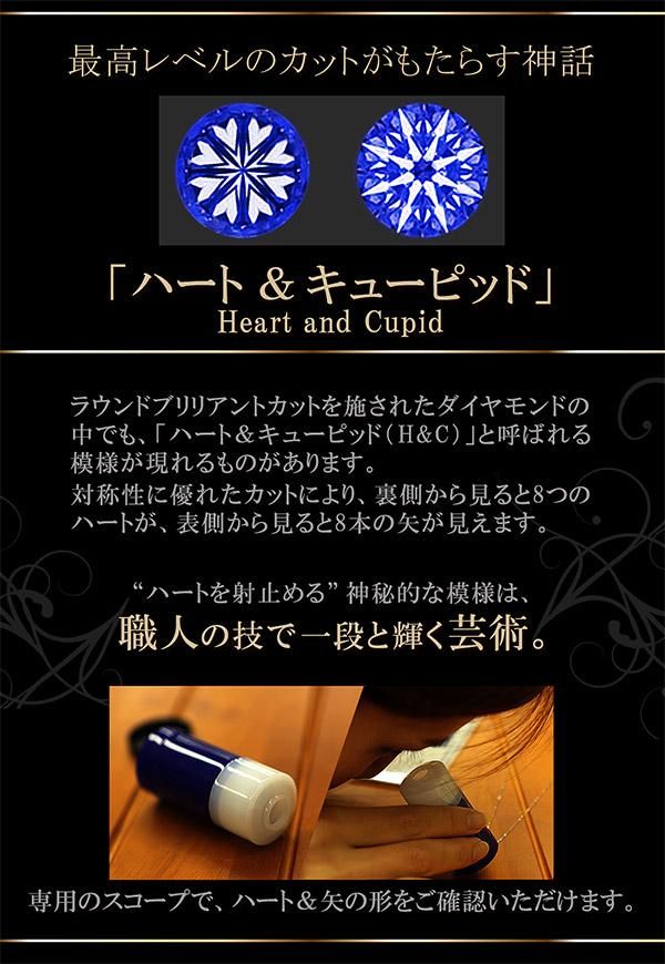Pt900 ダイヤモンド 馬蹄（ホースシュー）ネックレス_15
