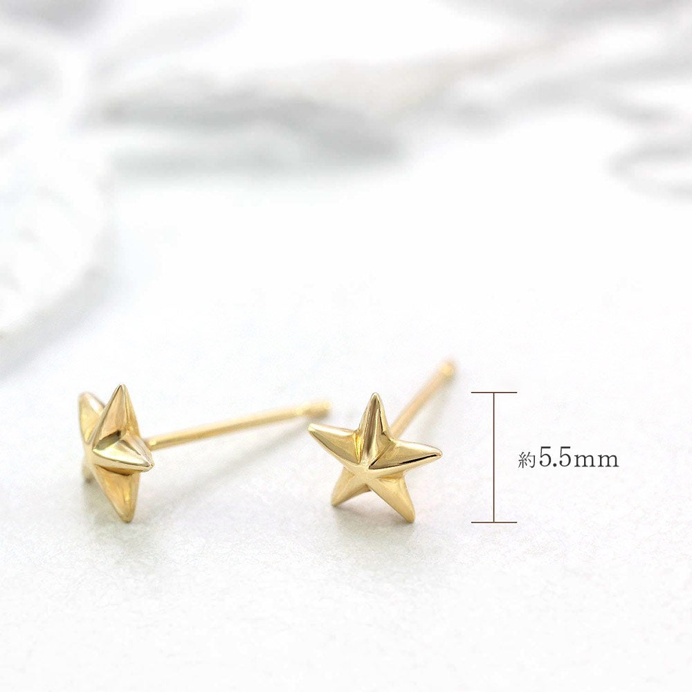 K18YG 一番星のピアス_05