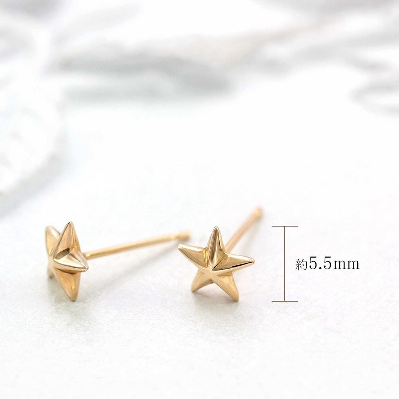 K18PG 一番星のピアス_05
